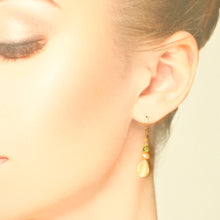 画像をギャラリービューアに読み込む, カッティングシェルピアス